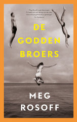 “De Godden broers” door Meg Rosoff